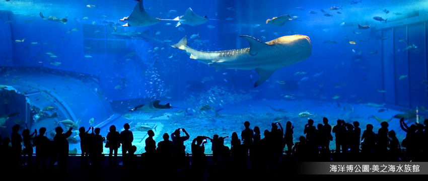 海洋博水族館